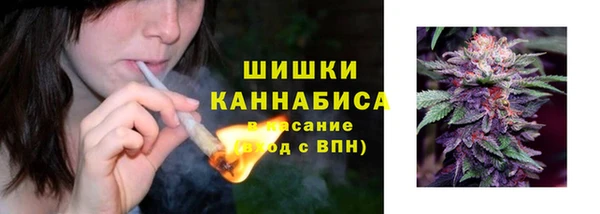 spice Козельск