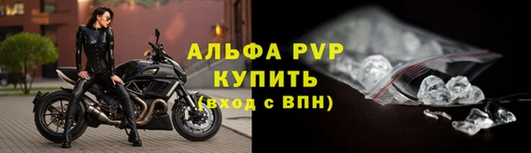 spice Козельск