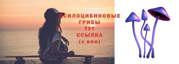 спиды Кодинск