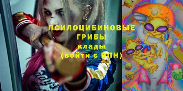 спиды Кодинск